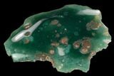 Polished Mtorolite (Chrome Chalcedony) - Zimbabwe #128365-2